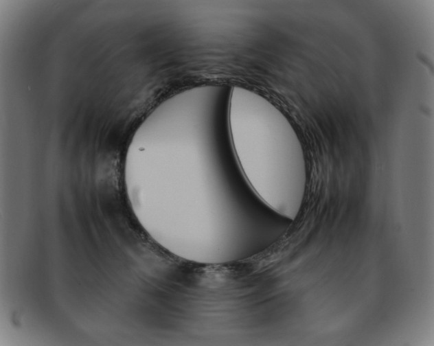 X0000092100612200709121111