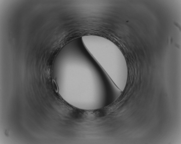 X0000092100613200709121111