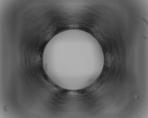 X0000092100614200709121111