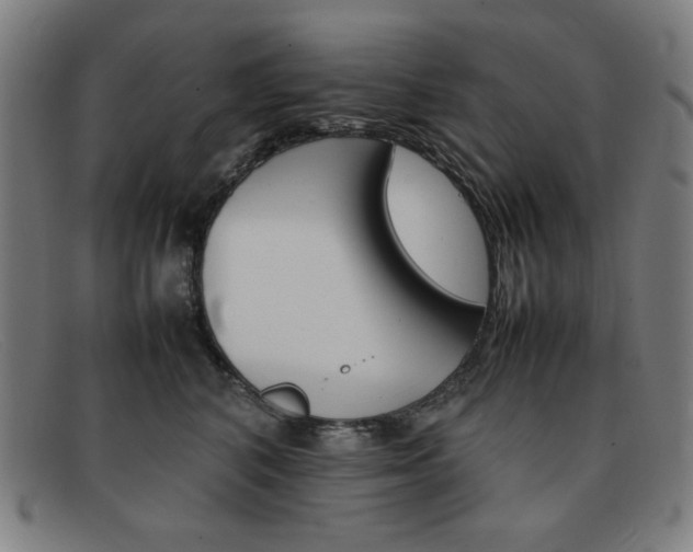 X0000092100616200709121111