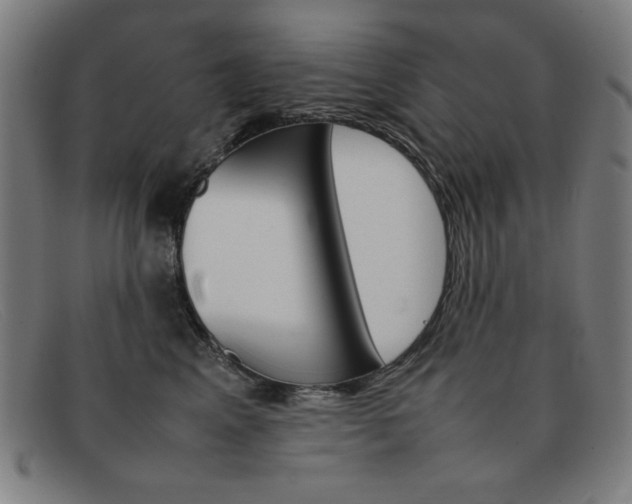 X0000092100617200709121111