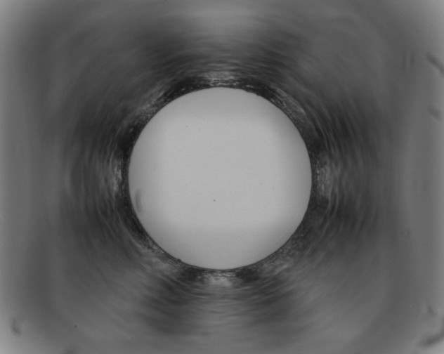 X0000092100618200709121111