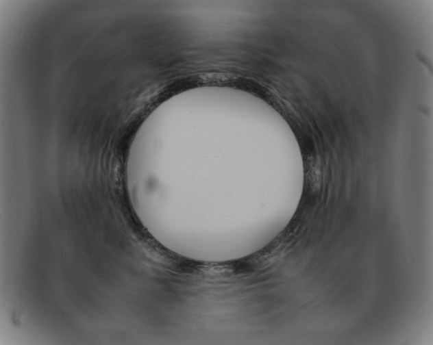 X0000092100619200709121111