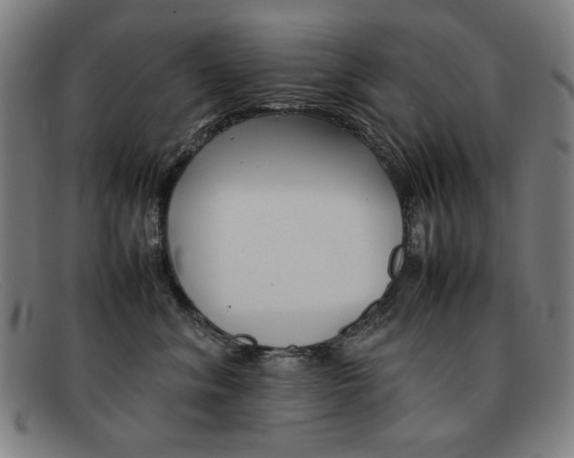 X0000092100620200709121111