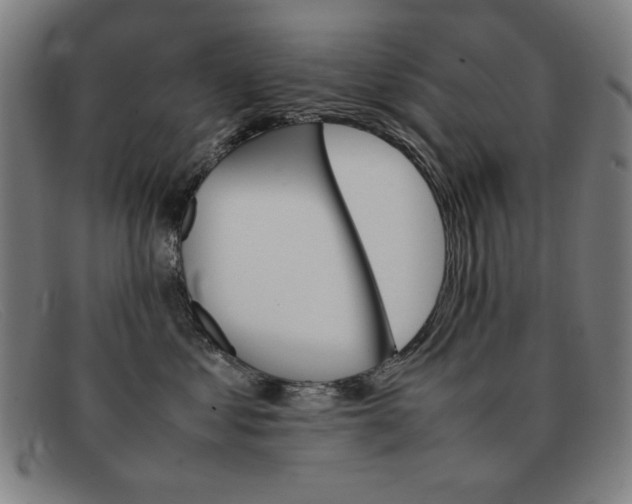 X0000092100621200709121111