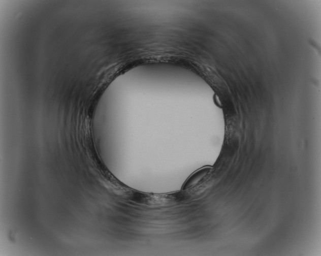 X0000092100623200709121111