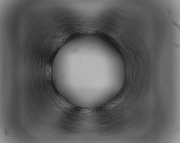 X0000092100624200709121111