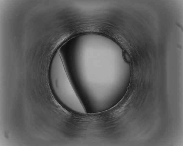 X0000092100625200709121110