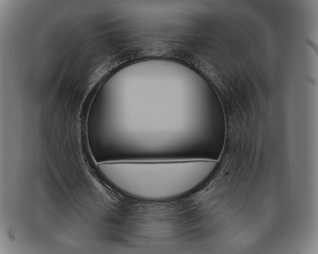 X0000092100626200709121110