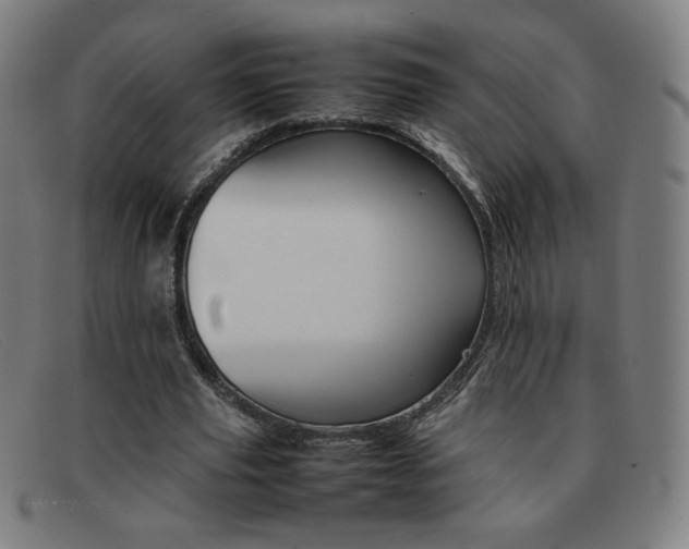 X0000092100629200709121110