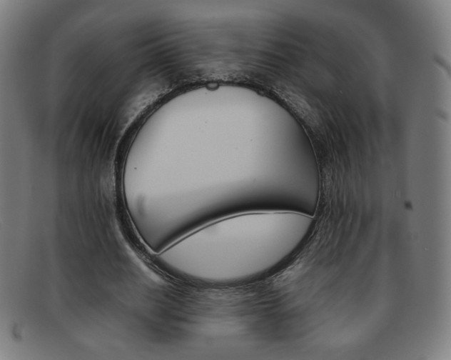 X0000092100630200709121110