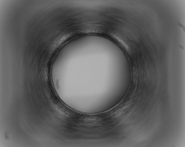 X0000092100631200709121110