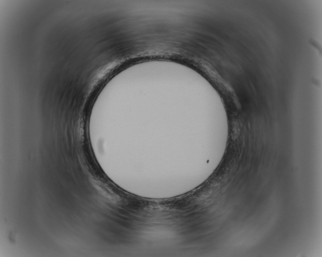 X0000092100632200709121110
