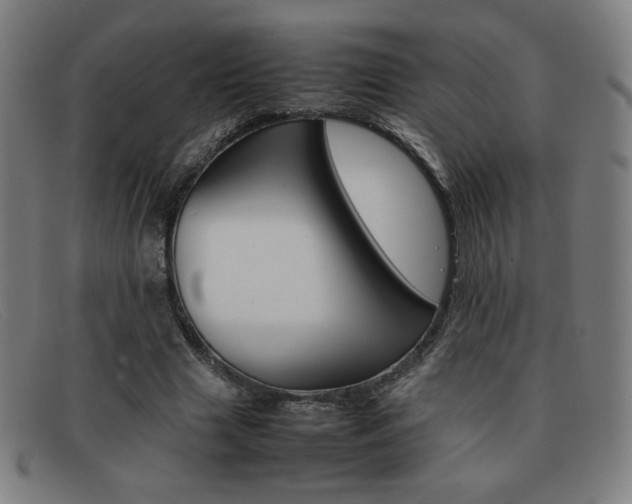 X0000092100633200709121110