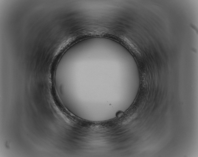 X0000092100634200709121110