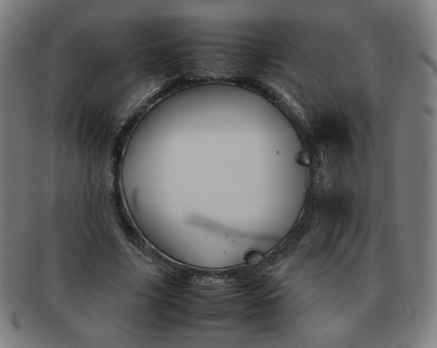 X0000092100635200709121110