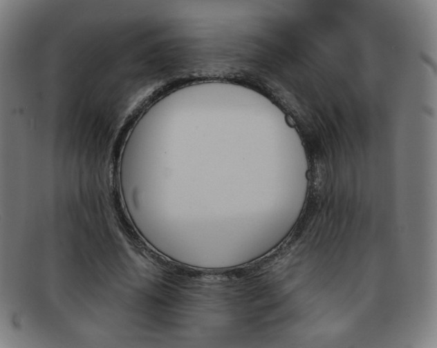 X0000092100636200709121110