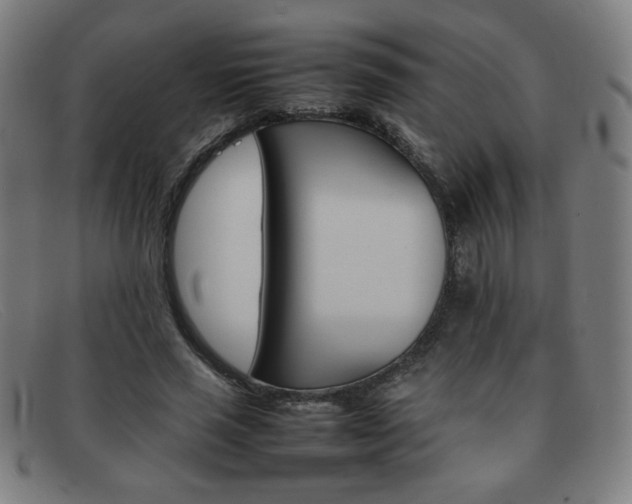 X0000092100637200709121110