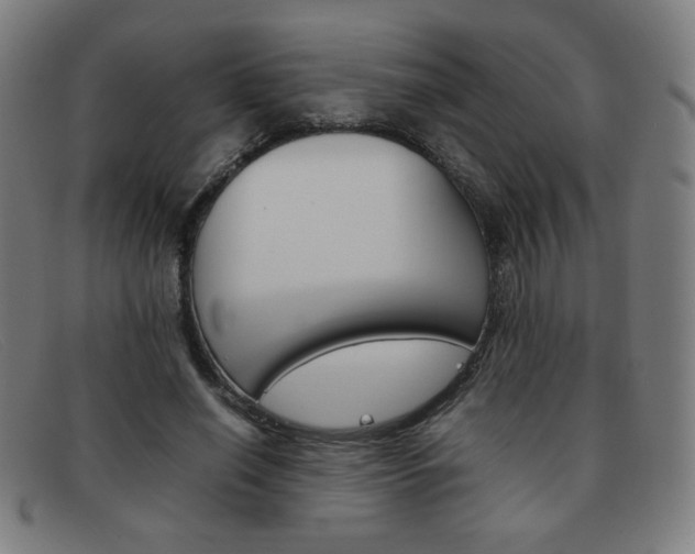 X0000092100638200709121110