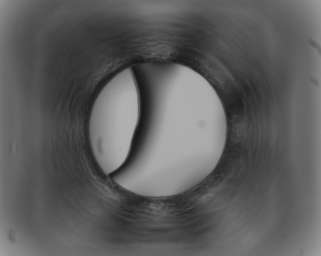 X0000092100641200709121110