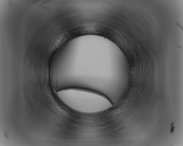 X0000092100642200709121110
