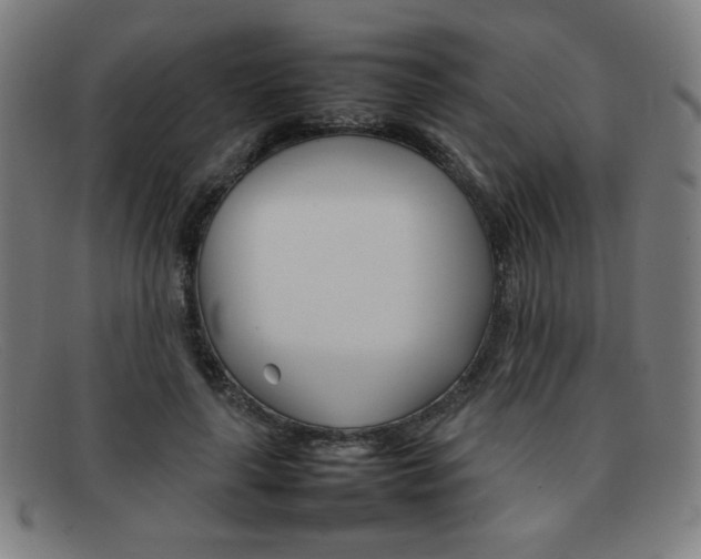 X0000092100643200709121110