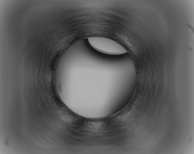 X0000092100645200709121110