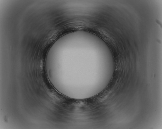 X0000092100646200709121110