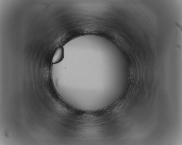 X0000092100648200709121110