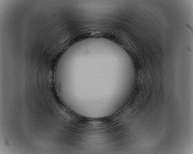 X0000092100650200709121110