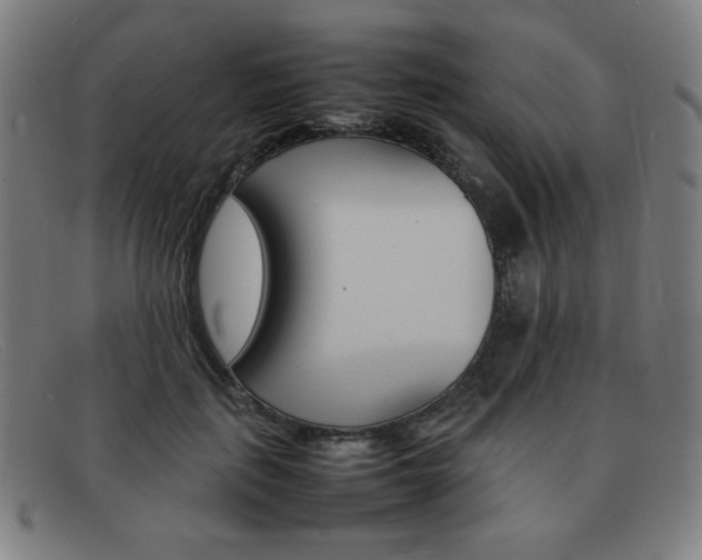 X0000092100651200709121110