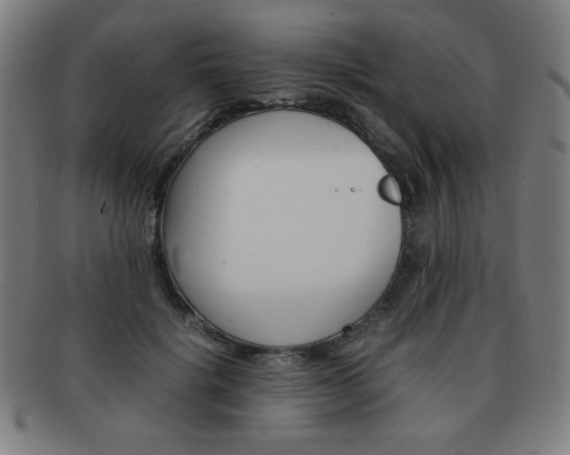 X0000092100652200709121110