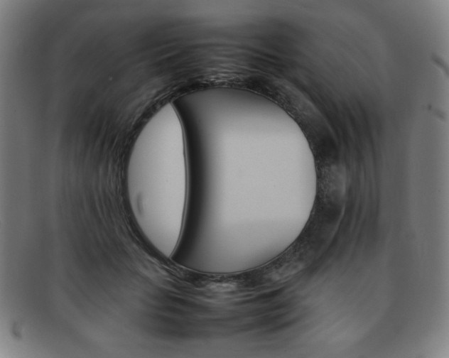 X0000092100653200709121110