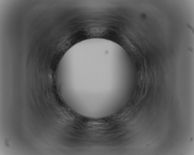 X0000092100655200709121110