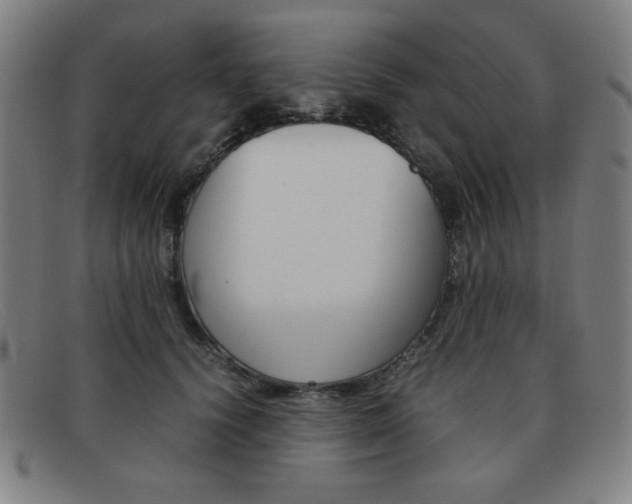 X0000092100656200709121110
