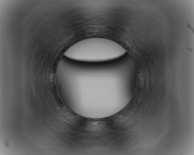 X0000092100657200709121110