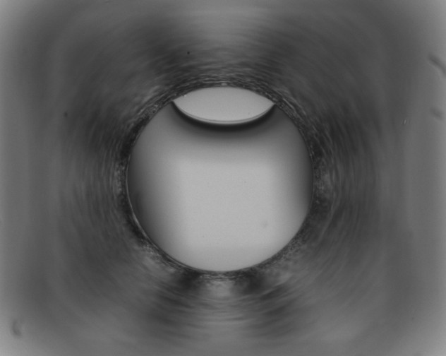 X0000092100658200709121110