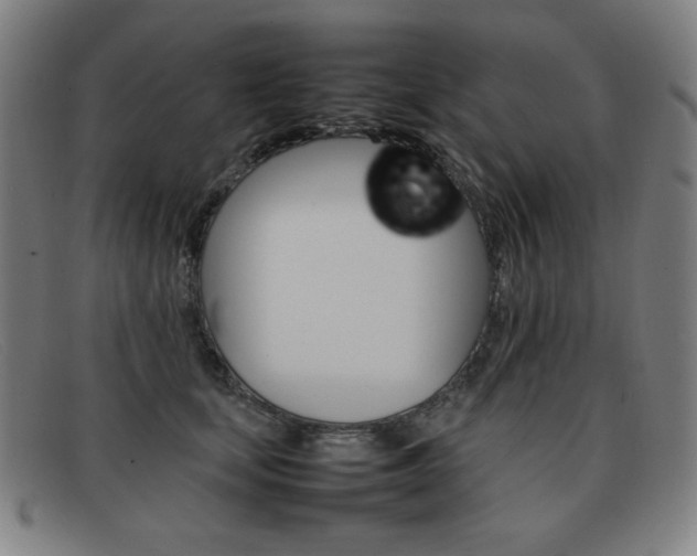 X0000092100659200709121110
