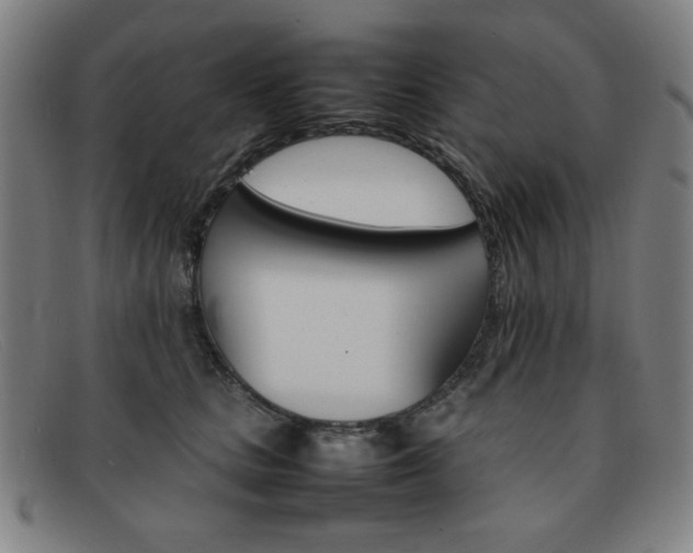 X0000092100661200709121110