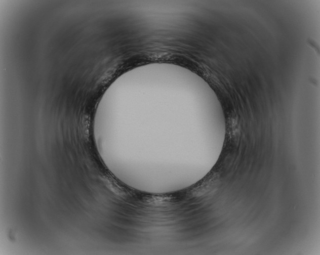 X0000092100664200709121111