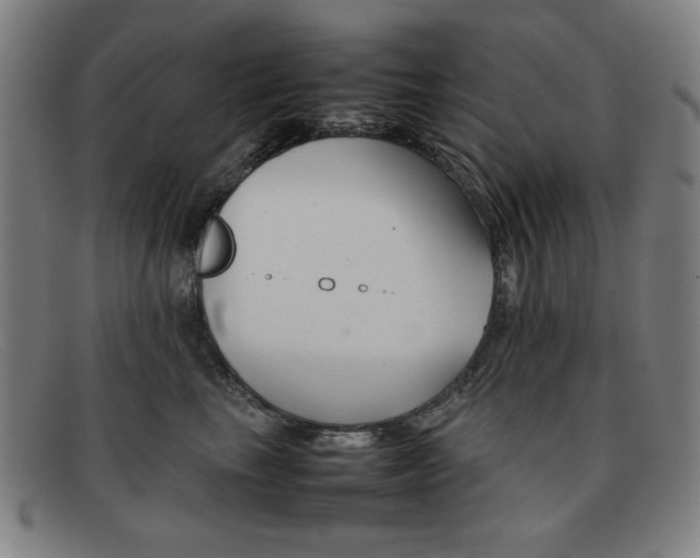 X0000092100665200709121111