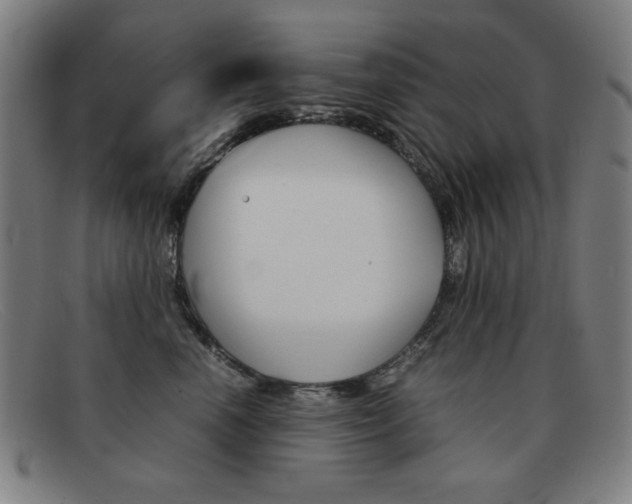 X0000092100666200709121111