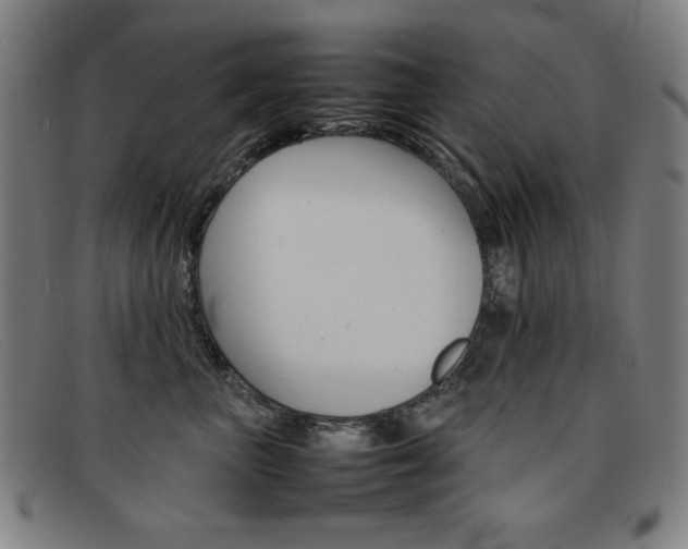 X0000092100667200709121111