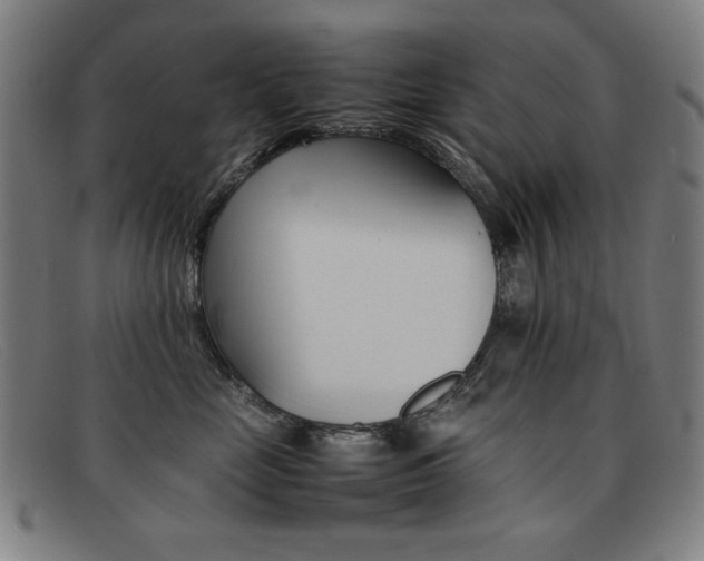 X0000092100669200709121111
