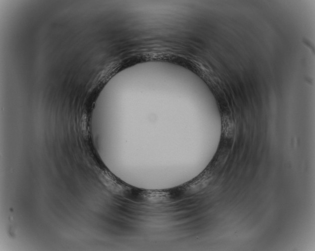 X0000092100670200709121111