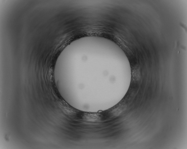 X0000092100671200709121111