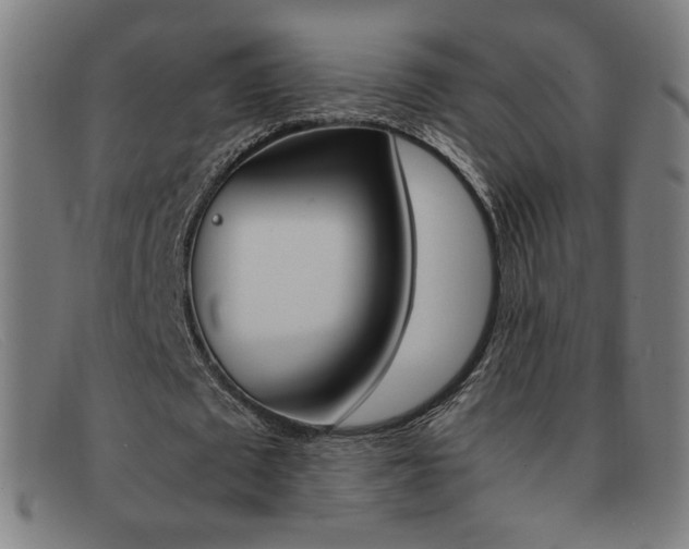 X0000092100673200709121110
