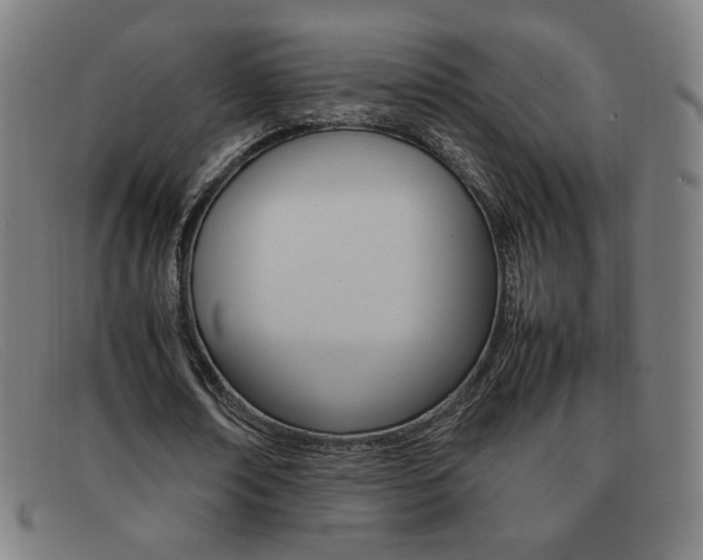 X0000092100674200709121110