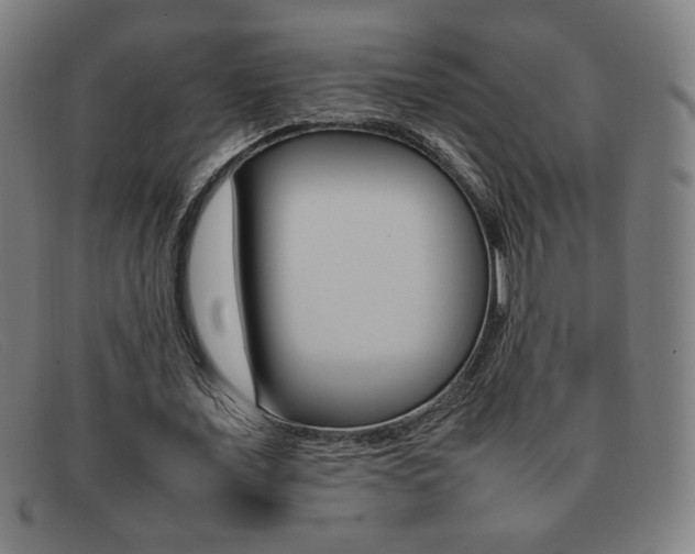 X0000092100675200709121110