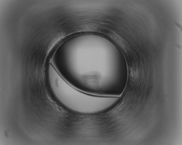 X0000092100676200709121110